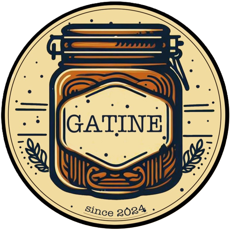 logo+petit+petit+DGTH